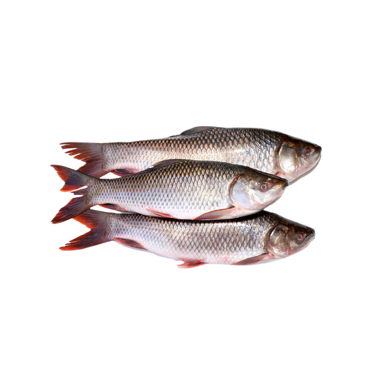 Menu Fish Rahu Whole - 30.90 lb (14.04kg) / cs