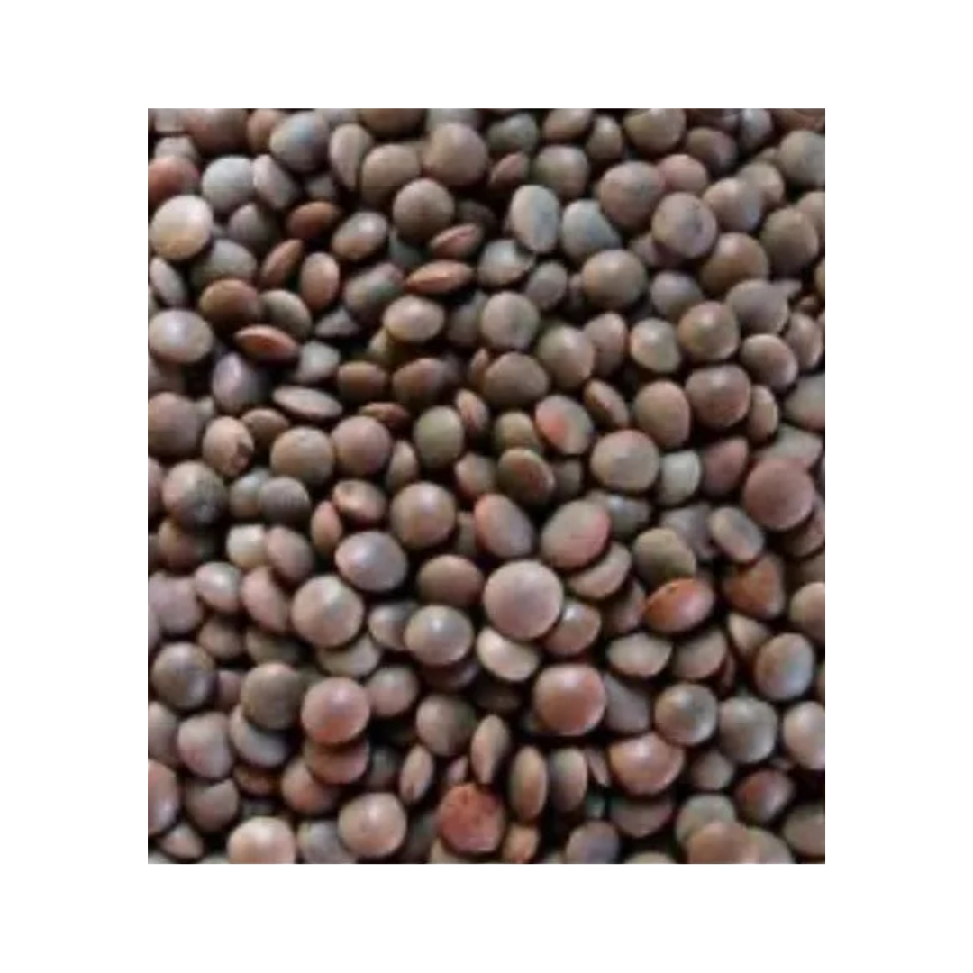Masoor Whole (Brown Lentils)